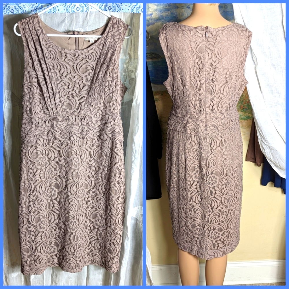 Eva Mendez +NY&Co lace shift dress sz 10 taupe